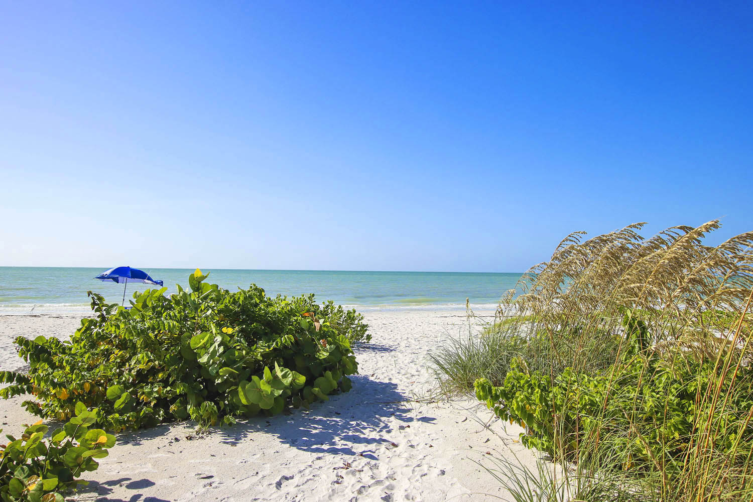 Thing To Do Sanibel Island